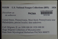 Image Associated With the Occurence